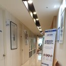 참시원정형외과의원 | 압구정 정형외과 참시원정형외과 프롤로치료의 효과