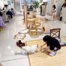 야옹아놀자캣카페 - 연수구 샘말로8번길 7-7 | 야옹아놀자캣카페 방문후기