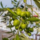 우리마음병원 이미지