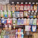 옥천애견미용 이미지