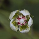 덕만농장 이미지