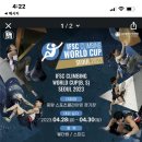 4월30일 ifsc in seoul 이미지