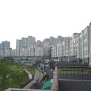 보행자전용도로 1-128 이미지