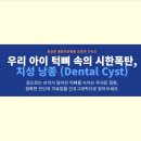 장승준동물치과병원 이미지