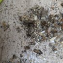 하나방역대구북부지사