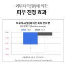 딕트