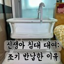 리안 | 신생아침대 대여 솔직후기: 리안 드림콧 한 달 반 만에 반납한 이유