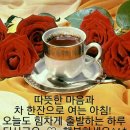 스마트폰 강의 Daum카페