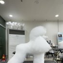 키스더도그/아르테미스 이미지