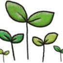 에코바이오페이퍼 이미지