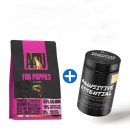 정성건재도매한약 | 강아지 및 소형견들 최고의 영양사료 추천