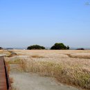 공룡화석지 이미지