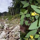 선비샘민박 이미지