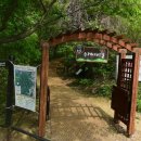 매화산주유소 티스토리