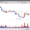 다보메디칼 이미지