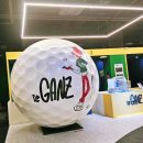 리빙스크린골프 이미지