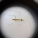 익산고등학교 이미지