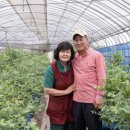 이순이농장 이미지