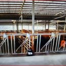 두정목장 이미지