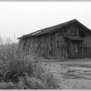 갯골생태공원(소금창고) 이미지