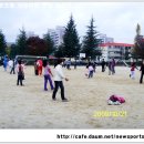 대전도마초등학교 Daum카페