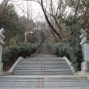 제황산공원(제황산부엉이) 이미지