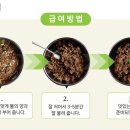 히비스독 네이버블로그