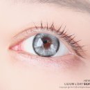 헤이그래픽hey-graphic | 헤이킴 화려한 렌즈가 나를 감싸네 릴리움 실버 13.2 mm 원데이렌즈 추천