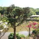 여주하늘정원 이미지