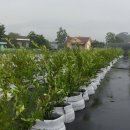 미르농장 이미지