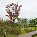 장자호수공원 이미지