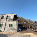 라파미C 네이버블로그