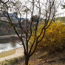 길사이언스 이미지