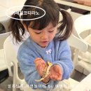 3719 | 위례게코샵티라노 후기, 게코도마뱀과 비어드데리곤 만나고 오기!