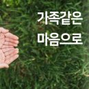 효가디언 이미지