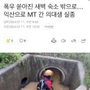 폭우 쏟아진 새벽 숙소 밖으로…익산으로 MT 간 의대생 실종 이미지