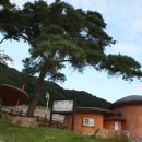 새재의아침 이미지