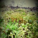 영팔농장 이미지