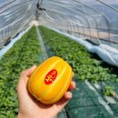 빈이네농장 이미지