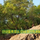 아침햇살염소농장 이미지