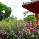 무궁화동산 화장실 이미지