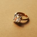 다이아호텔 이미지