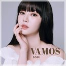 바모스(VAMOS)