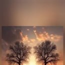 늘처음처럼 이미지