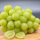 샤인유치원 이미지