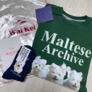 와이케이 더블유 | [내돈내산] 와이케이 말티즈 아카이브 맨투맨 그린, 기모(Maltese archive sweatshirts GREEN...