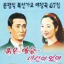 거제출신 최초의 가수... 문평일 이미지