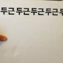 펫밀리레스토랑 이미지