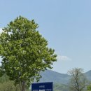 에버랜드 로스트밸리 사파리 아마존 익스프레스 평일 종일권 후기