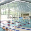 담빛수영장 이미지